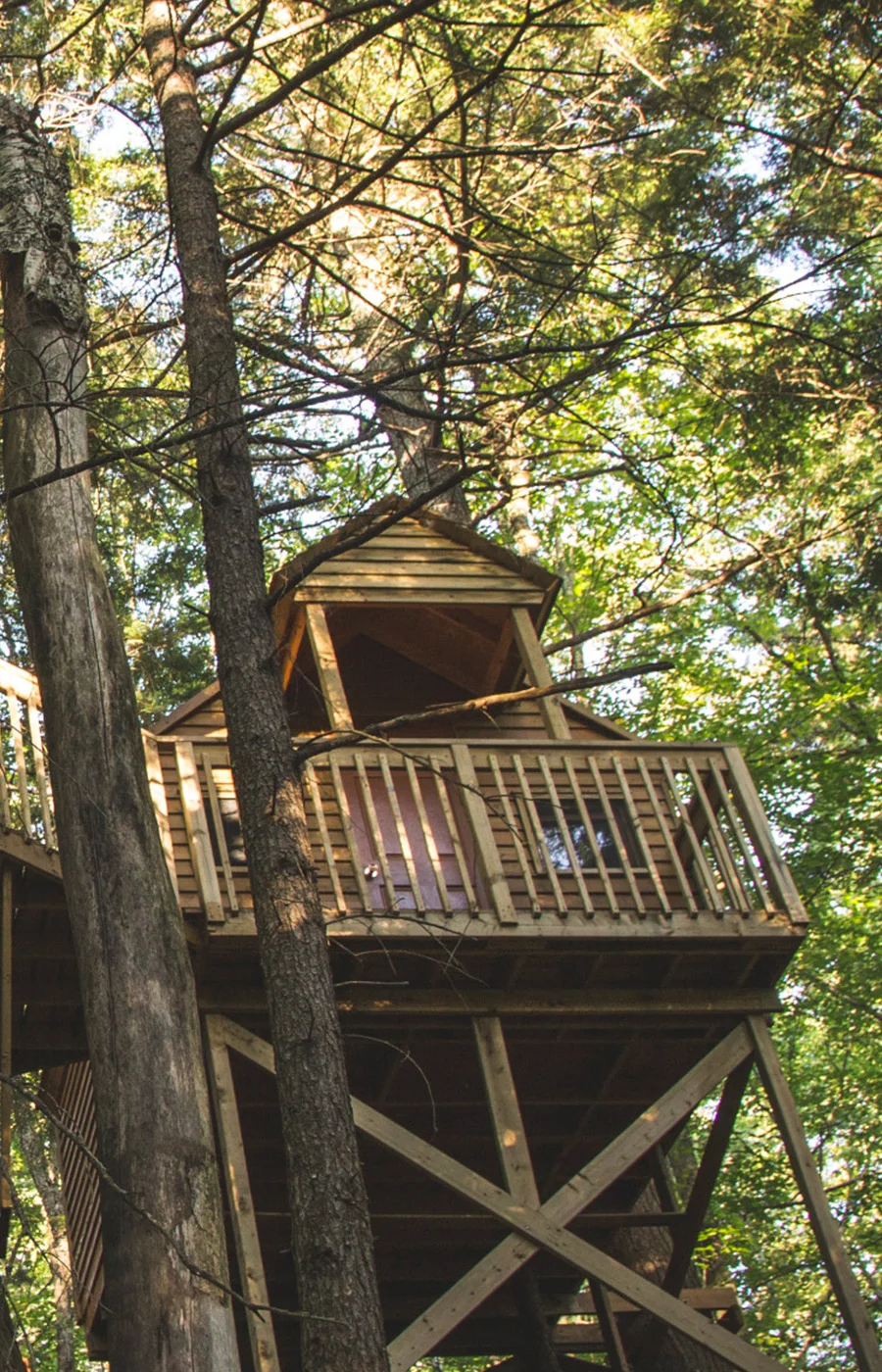 Cabane des découvreurs