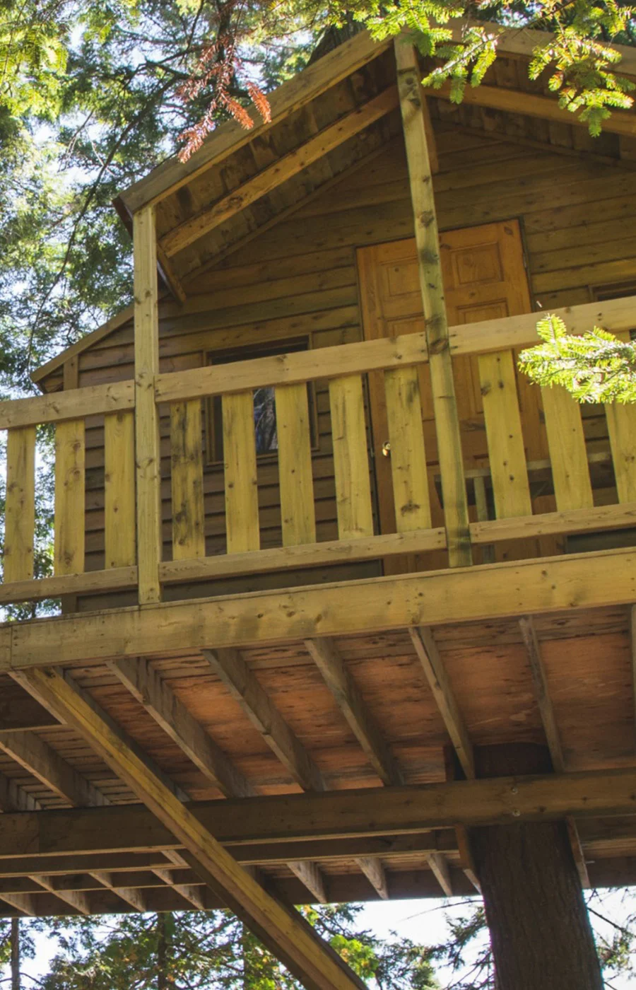 Cabane des aventuriers