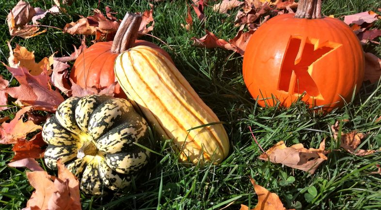 Citrouille d'Halloween, taillez-la en utilisant le couteau denteleur -  Sculpture fruits et légumes